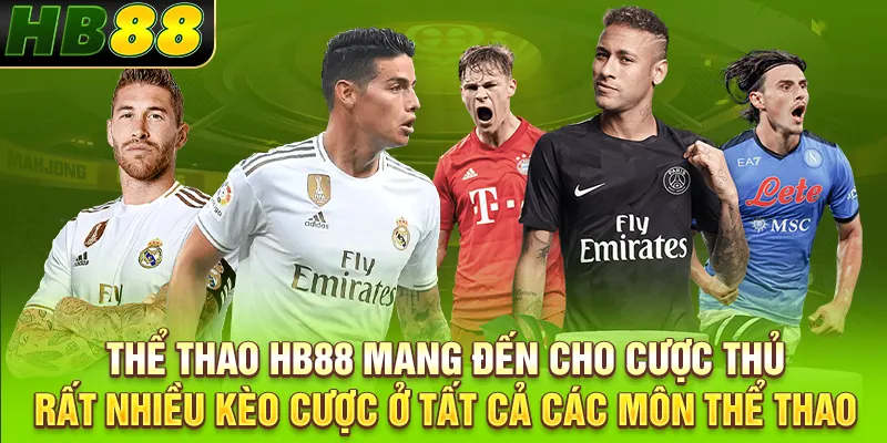 Thể thao HB88 mang đến cho cược thủ rất nhiều kèo cược ở tất cả các môn thể thao